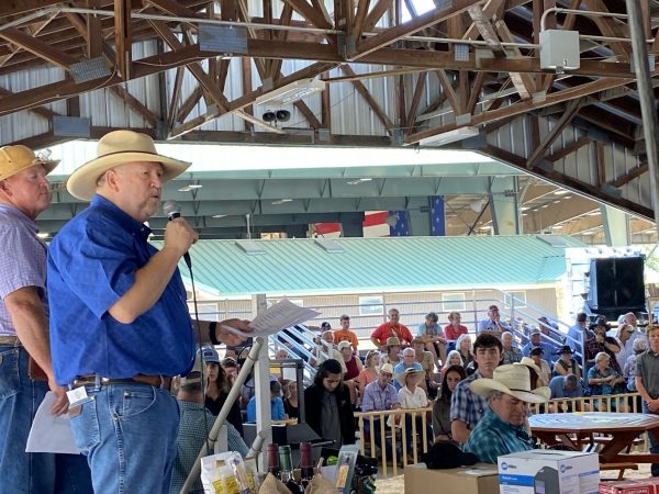 Blake Wallis addresses gthe auction crowd