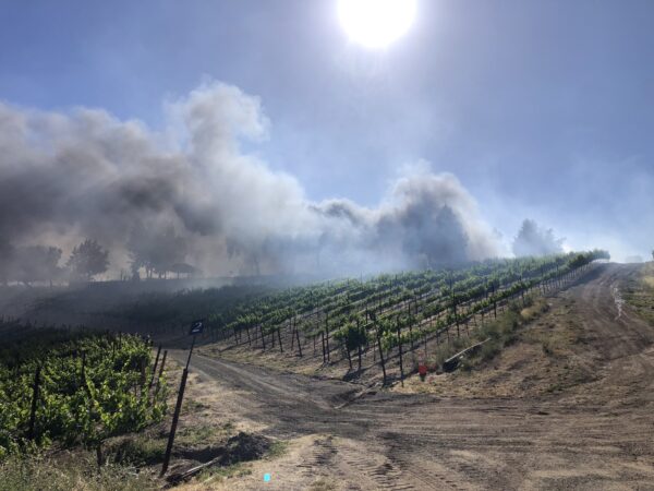 CHOLAME FIRE CAL FIRE