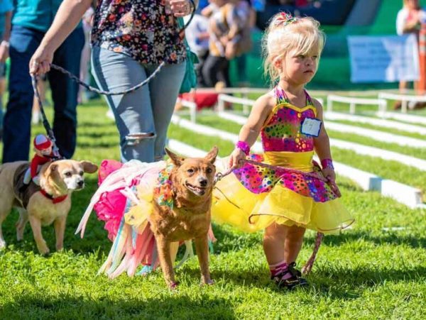 Dog Costume Contest