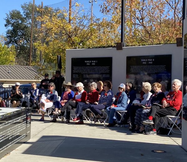 Faces of Freedom Quilters