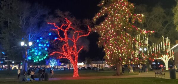 HOLIDAY LIGHTS 2024 20241220_181702