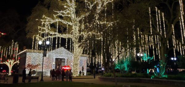 HOLIDAY LIGHTS 2024 20241220_181709