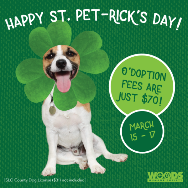 MARCH woods humane society adoption