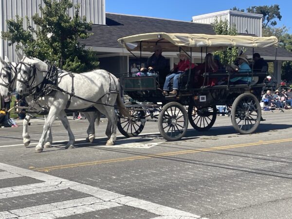 PIONEER DAY IMG_3207