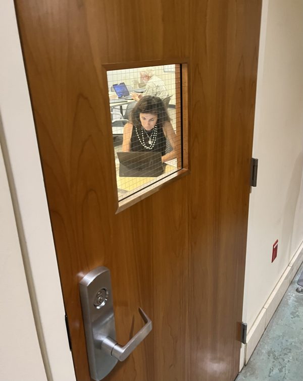 Rita Neal monitoring recount