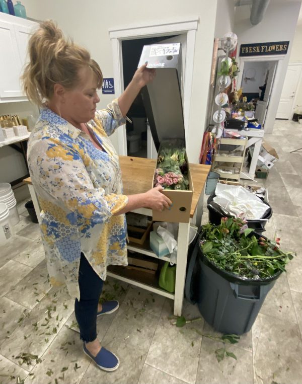 Sunny opens box from Holland