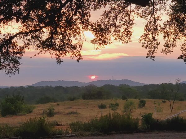 Texas sunrise sunny summer weather
