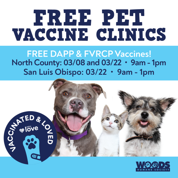 Woods-Vaccine-Clinic-MARCH-2025-FACEBOOK-INSTAGRAM-600×600