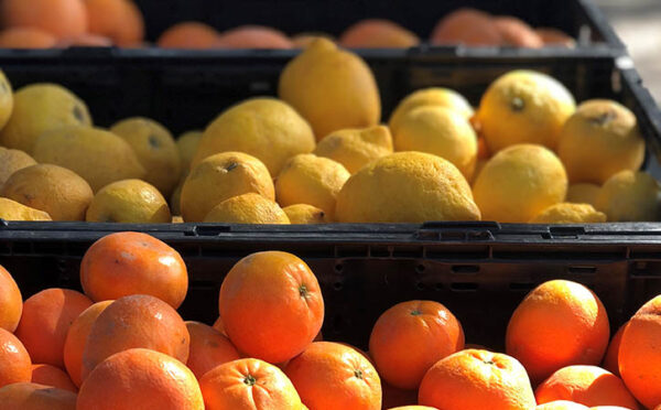 atascadero farmers market