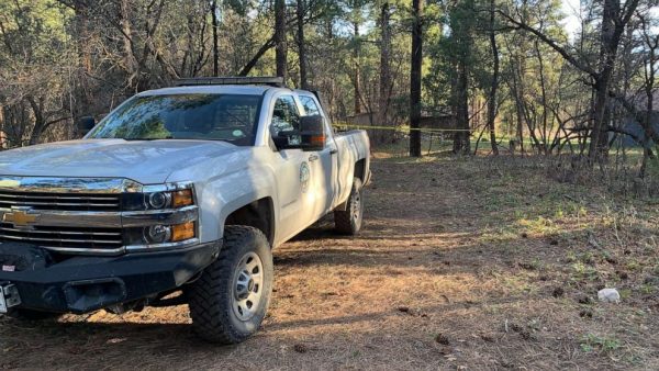 bear-attack-colorado parks and wildlife 2021