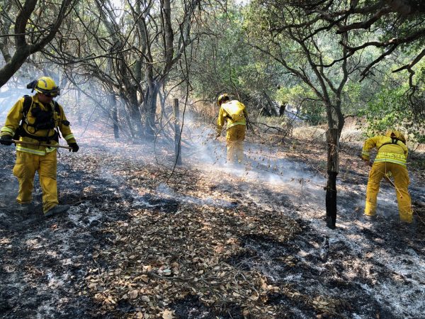 photo from firefighter IMG-1691